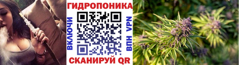 Шишки марихуана планчик  как найти закладки  Новосиль 